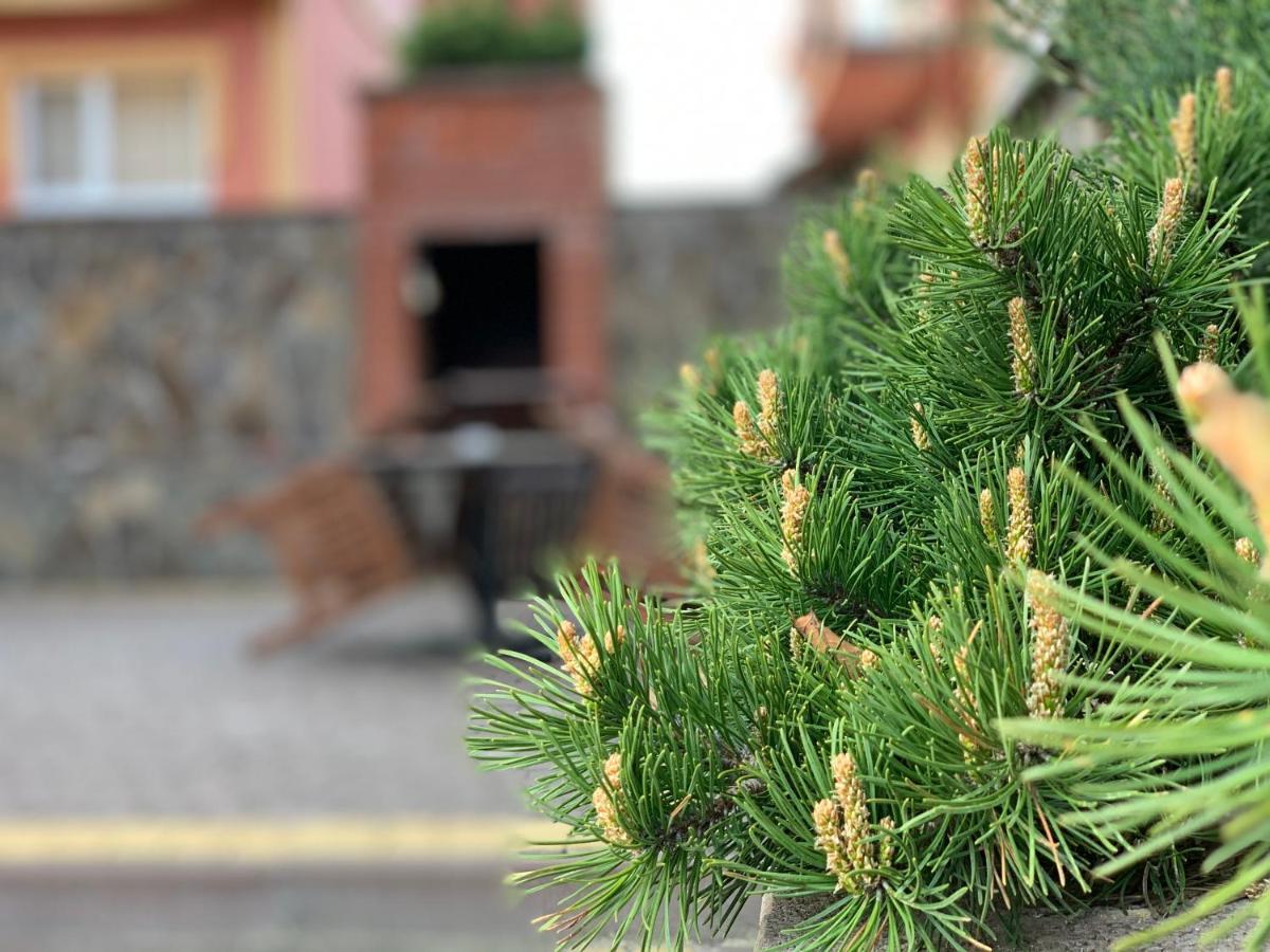 Mini Hotel Solnce Karpat Polyána Kültér fotó